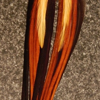 Feather Earrings 90