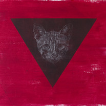 Dark Fur | Cody Comrie | Original