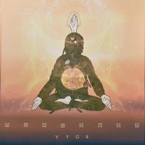 VYGR - S/T LP