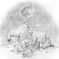 "Pack" ***ORIGINAL***