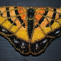 Vintage Butterfly Change Purse