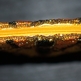 Vintage Butterfly Change Purse - Thumbnail 1