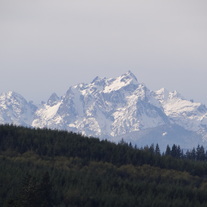 Dsc00584_medium