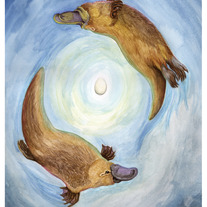 "Platypus"