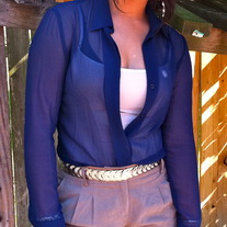 Sheer Navy Blouse