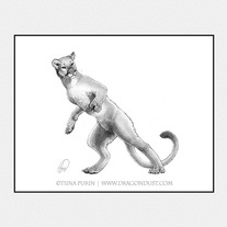 Matted "Florida Panther" Print