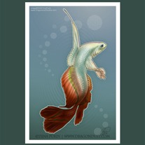Matted "Broketail" Print