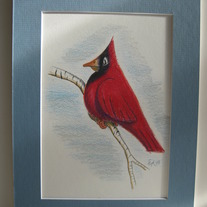 Winter Cardinal- Original Illustration