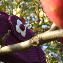 Visions of Sugar Plums Upcycled Coupon Holder