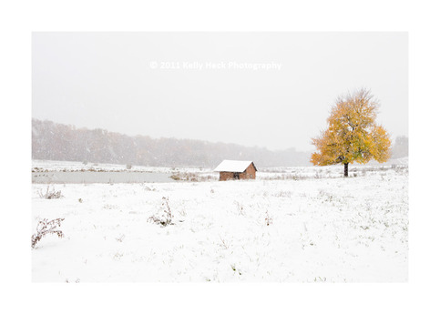 Early Chill - Limited Edition of 20