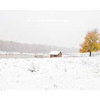 Early Chill - Limited Edition of 20