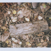 Print- Feet Part 2 Fujiroid
