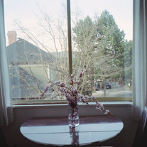 Print- Victoria British Columbia