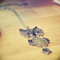 Asian_20owl2_medium