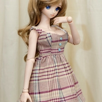 SALE! DDdy Plaid Dress