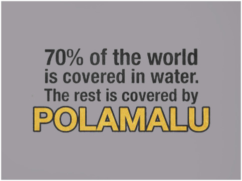 70% Polamalu Tee