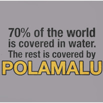 70% Polamalu Tee