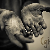Give 8x12 Photo