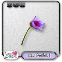 CU Flowers 1 - Freebie