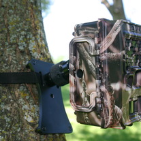Pivot Point Tree Plate Mount