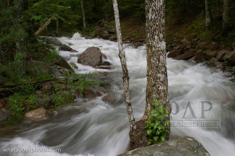 Nat_park-3_large