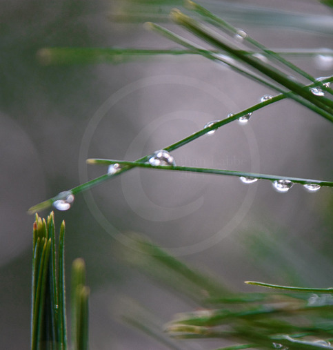 Droplets-2_large