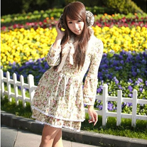 Vestido Flores / Flowers Dress DW099