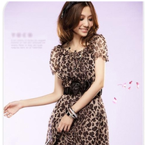 Vestido Leopardo / Leopard Dress DW165