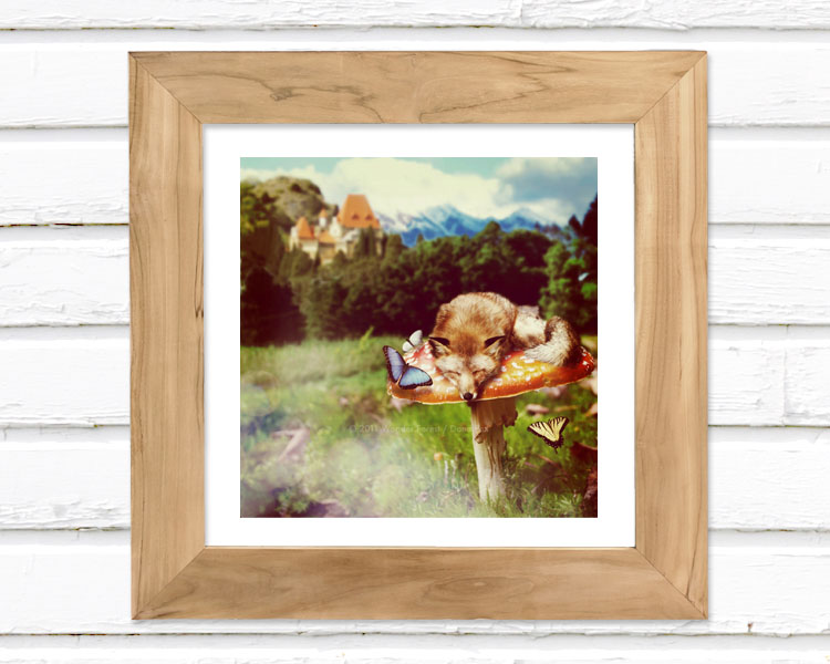 Dreams - Luster Photo Print 8x8