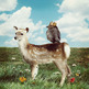 Kings and Queens - Luster Photo Print 8x8 - Thumbnail 1