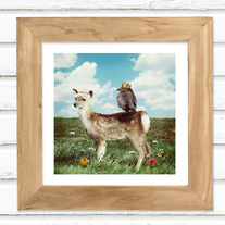 Kings and Queens - Luster Photo Print 5x5