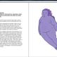SUPER #1 (E-zine) - Thumbnail 1
