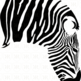 The Zebra - Onesie - Thumbnail 1