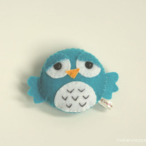 Turquoise Bird
