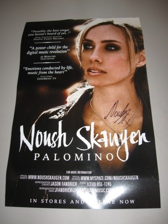 Signed Palomino Poster