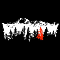 In The Pines