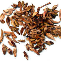 Sacred 1000 Year Tea Buds (神聖古芽）