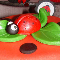 Fondant Ladybug Cake Topper