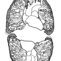 Stunned Lungs zine by Tara J
