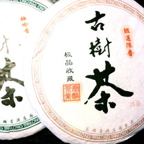 Hundred Year Old Tea Tree (Cake Tea Pu'er 400g)