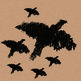 Limited_cd_front_cover_small