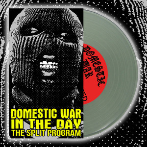 Domestic War / In The Day Split 7"