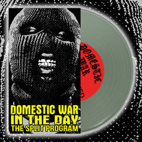 Domestic War / In The Day Split 7"
