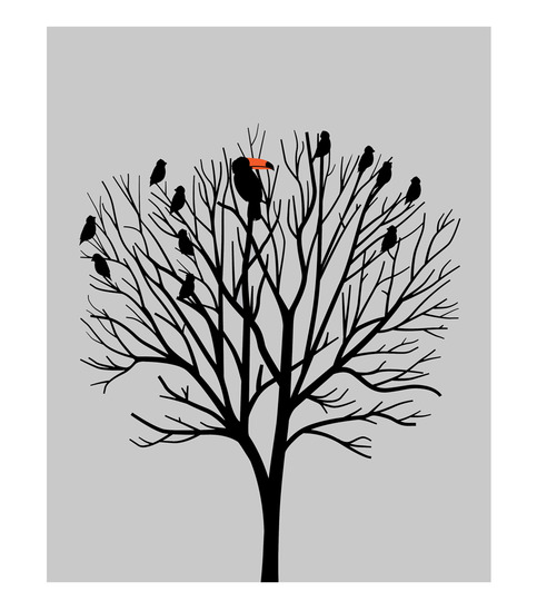 Birds of a Feather