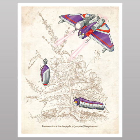 Natural Transformation (print)