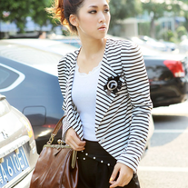 Chaqueta Rayas / Striped Jacket DW471