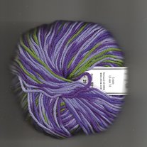 Violets Purple Green Merino 5 Wool Yarn by Crystal Palace