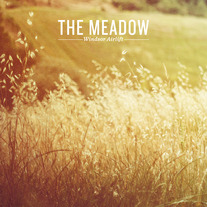 Windsor_20airlift_20-_20the_20meadow_medium