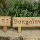 Personalized_gifts_for_clients_3__copy_small