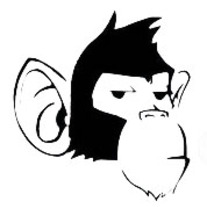 Monkey_medium